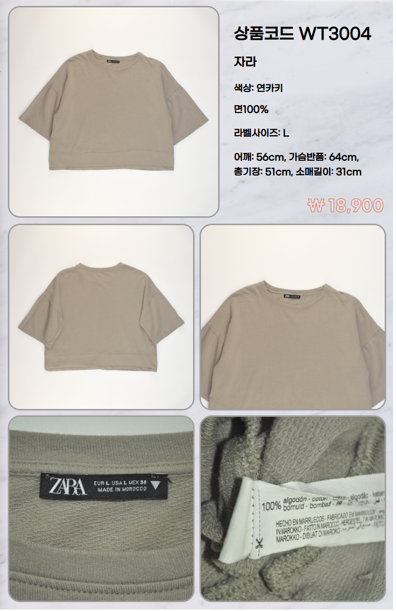 WT3004